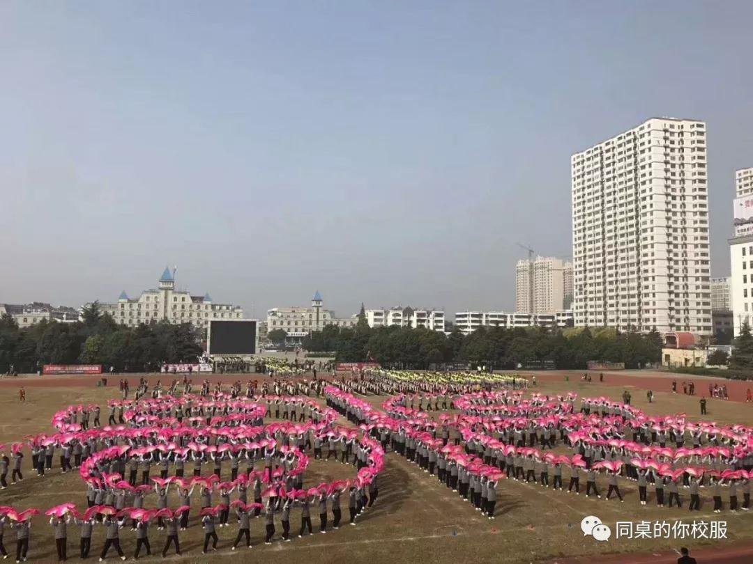 新沂市行知學(xué)校遇見(jiàn)同桌的你校服